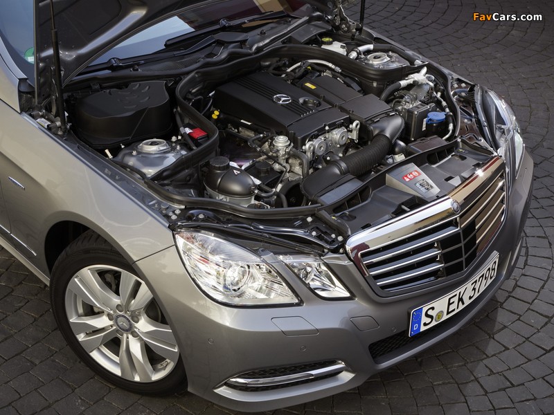 Mercedes-Benz E 200 NGT (W212) 2011–12 pictures (800 x 600)
