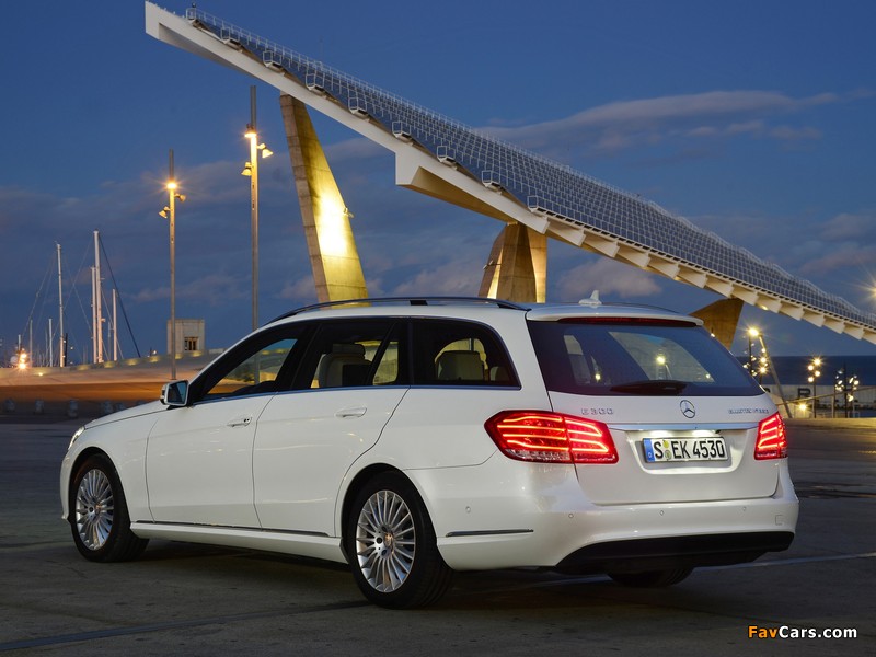 Mercedes-Benz E 300 BlueTec Hybrid Estate (S212) 2013 wallpapers (800 x 600)