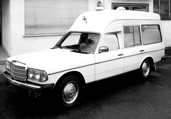 Binz Mercedes-Benz Ambulance (F123) images