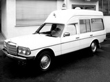 Binz Mercedes-Benz Ambulance (F123) images