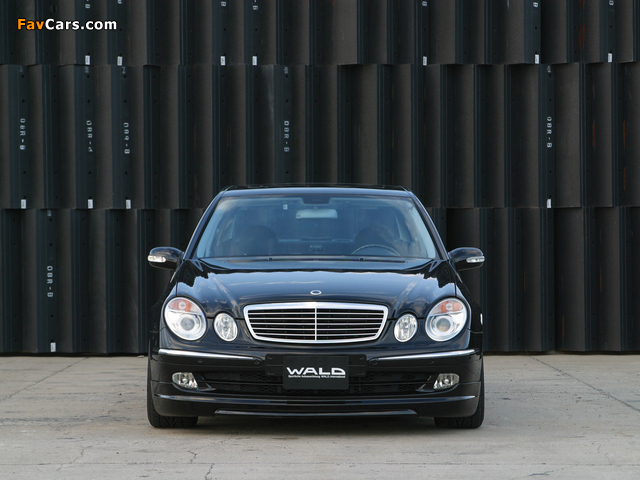 WALD Mercedes-Benz E 50 (W211) pictures (640 x 480)