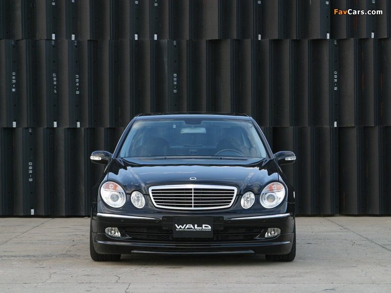 WALD Mercedes-Benz E 50 (W211) pictures (800 x 600)
