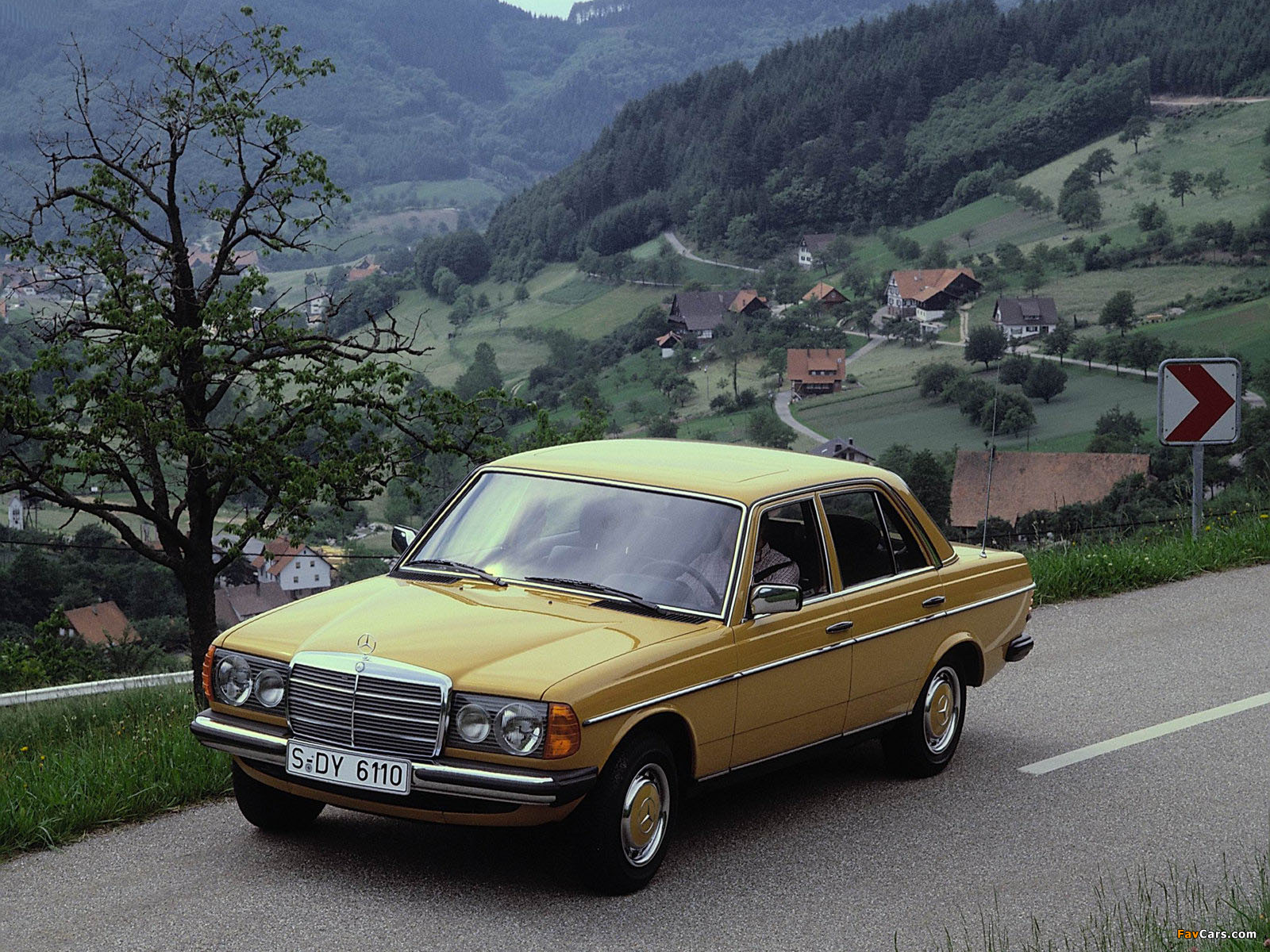 Photos of Mercedes-Benz E-Klasse (W123) 1976–85 (1600 x 1200)