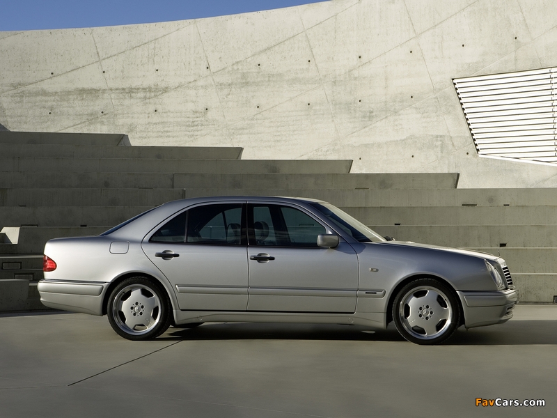Photos of Mercedes-Benz E 50 AMG (W210) 1996–97 (800 x 600)