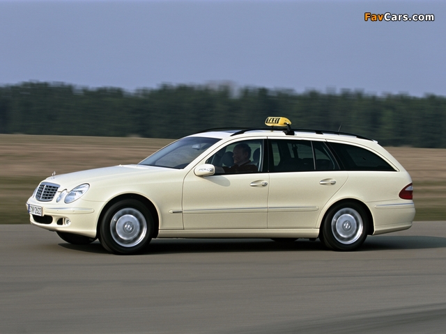 Photos of Mercedes-Benz E 220 CDI Estate Taxi (S211) 2002–06 (640 x 480)