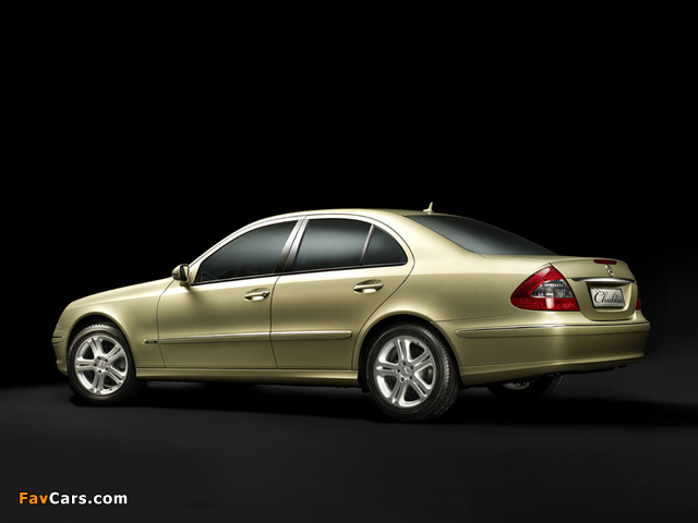 Photos of Mercedes-Benz E 320 CDI Chablis (W211) 2007 (640 x 480)