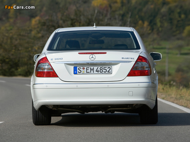 Photos of Mercedes-Benz E 300 BlueTec (W211) 2008–09 (640 x 480)