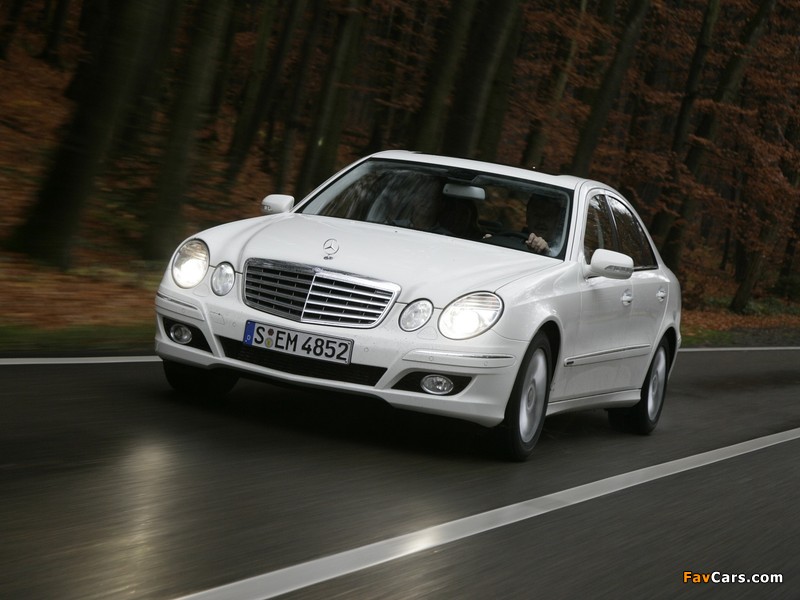 Photos of Mercedes-Benz E 300 BlueTec (W211) 2008–09 (800 x 600)