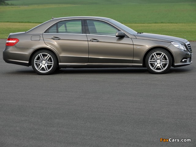 Photos of Mercedes-Benz E 220 CDI AMG Sports Package UK-spec (W212) 2009–12 (640 x 480)