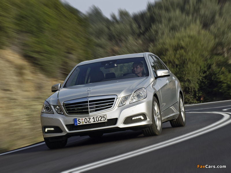 Photos of Mercedes-Benz E 500 (W212) 2009–12 (800 x 600)