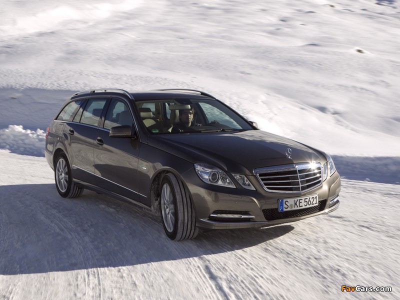 Photos of Mercedes-Benz E 250 CDI 4MATIC Estate (S212) 2011–12 (800 x 600)