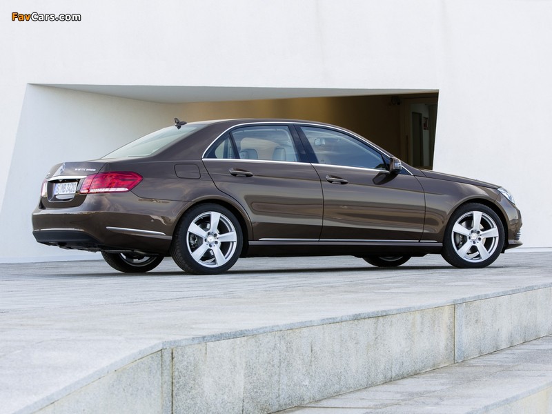 Photos of Mercedes-Benz E 300 BlueTec Hybrid (W212) 2013 (800 x 600)