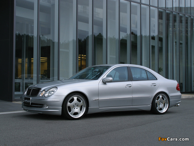 Photos of WALD Mercedes-Benz E-Klasse (W211) 2002–06 (640 x 480)