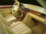 Pictures of Carat by Duchatelet Mercedes-Benz 300 E (W124)