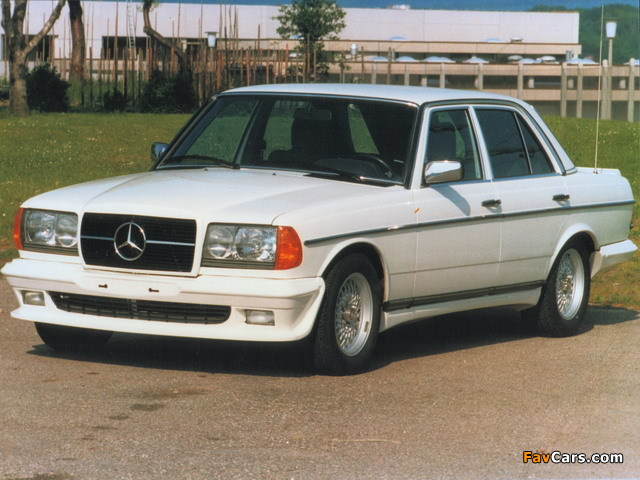 Pictures of Mercedes-Benz E-Klasse by Bohr-Tuning (W123) (640 x 480)