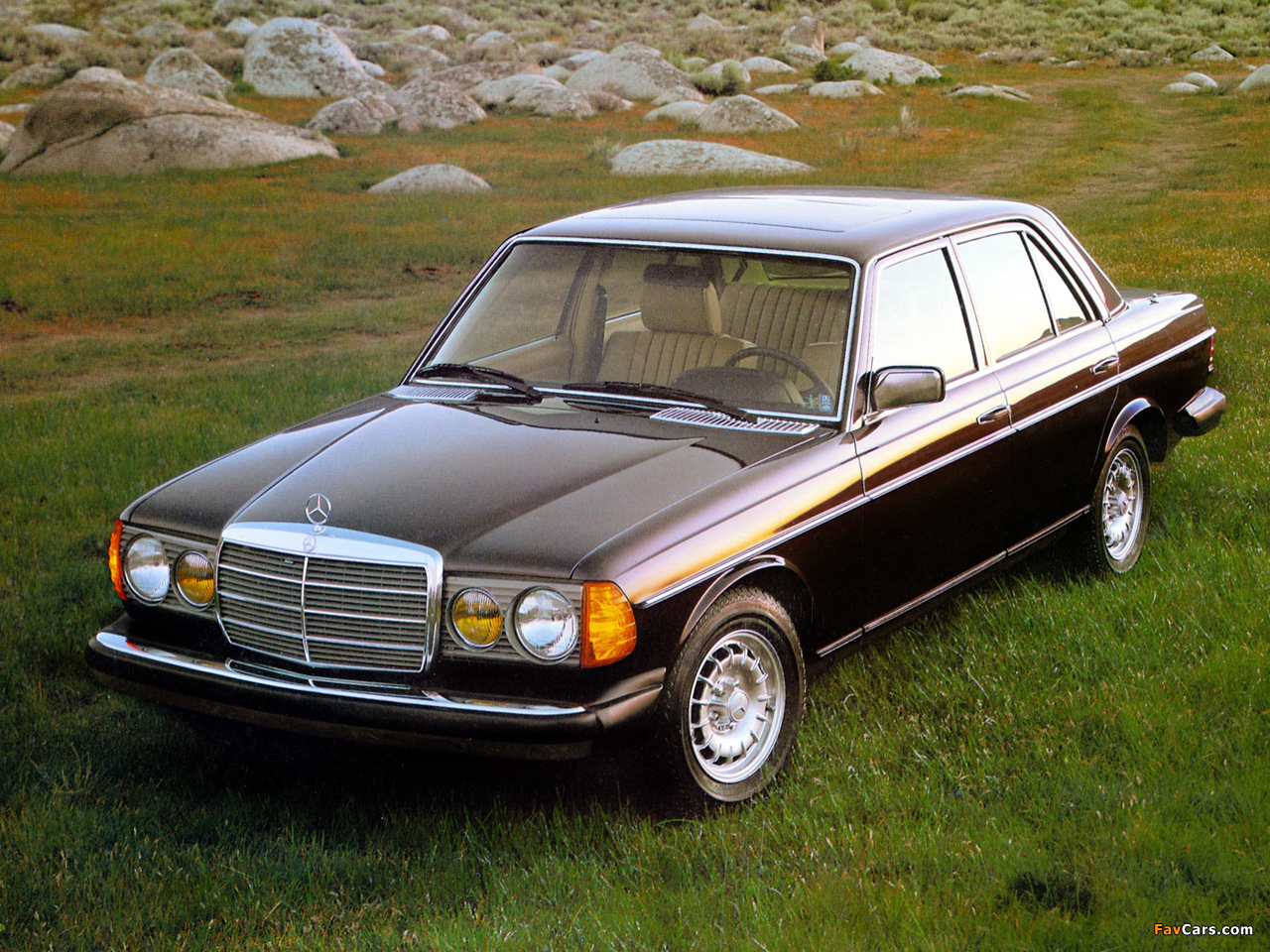 Pictures of Mercedes-Benz 300 D Turbodiesel (W123) 1981–85 (1280 x 960)