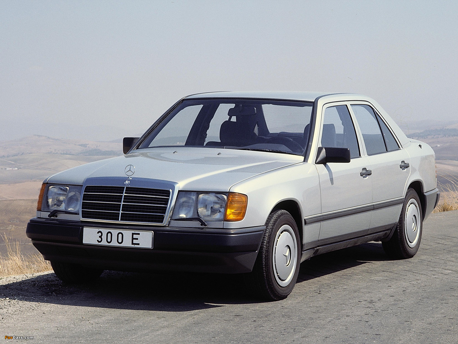 Pictures of Mercedes-Benz 300 E (W124) 1985–92 (1600 x 1200)
