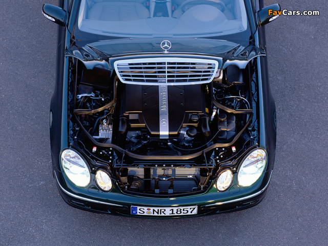 Pictures of Mercedes-Benz E 240 (W211) 2002–03 (640 x 480)