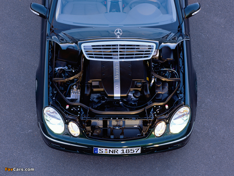 Pictures of Mercedes-Benz E 240 (W211) 2002–03 (800 x 600)
