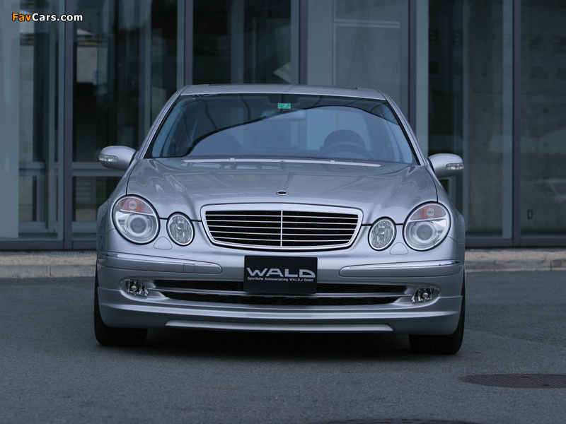 Pictures of WALD Mercedes-Benz E-Klasse (W211) 2002–06 (800 x 600)