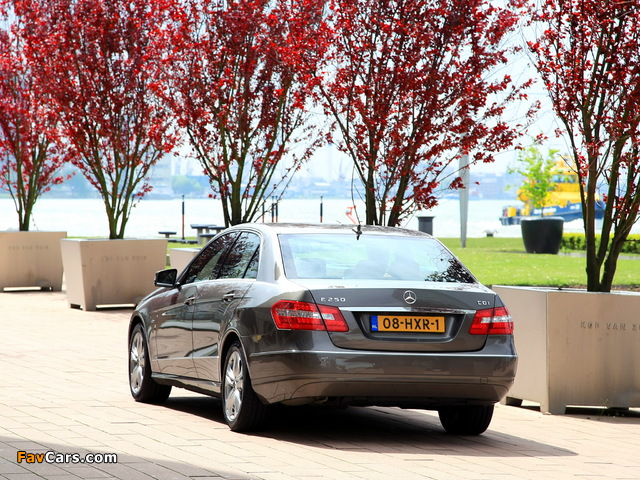 Pictures of Mercedes-Benz E 250 CDI (W212) 2009–12 (640 x 480)