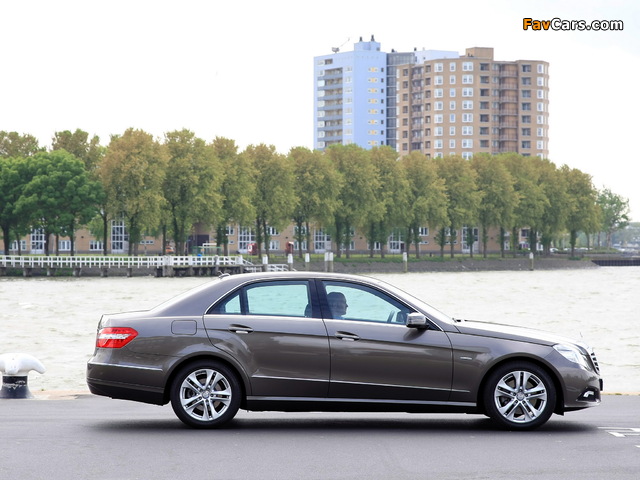 Pictures of Mercedes-Benz E 250 CDI (W212) 2009–12 (640 x 480)