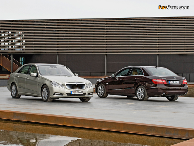 Pictures of Mercedes-Benz E350 CDI & E350 CGI (W212) 2009 (640 x 480)