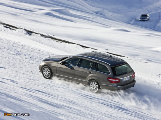 Pictures of Mercedes-Benz E 350 4MATIC Estate (S212) 2009–12 (640 x 480)