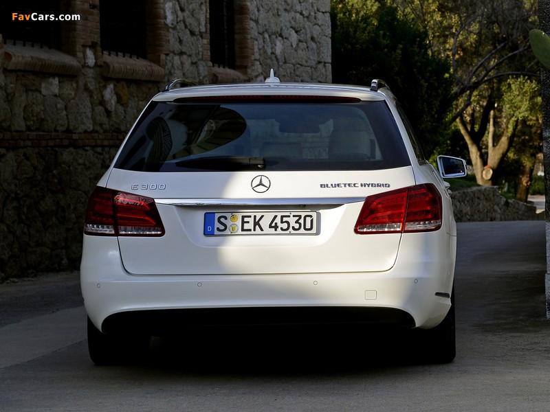 Pictures of Mercedes-Benz E 300 BlueTec Hybrid Estate (S212) 2013 (800 x 600)