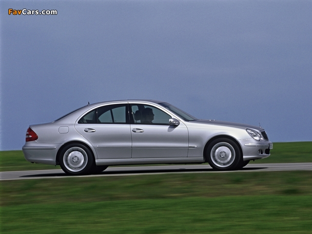 Mercedes-Benz E 420 CDI (W211) 2002–06 wallpapers (640 x 480)