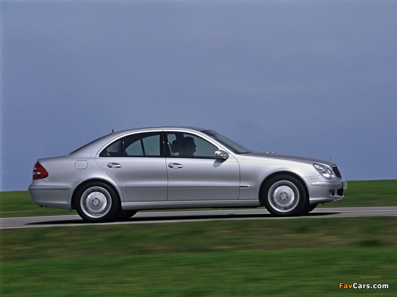Mercedes-Benz E 420 CDI (W211) 2002–06 wallpapers (800 x 600)