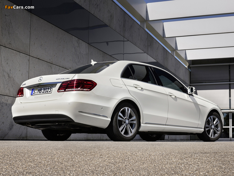 Mercedes-Benz E 200 Natural Gas (W212) 2013 wallpapers (800 x 600)