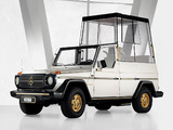 Images of Mercedes-Benz 230 G Popemobile (W460) 1980