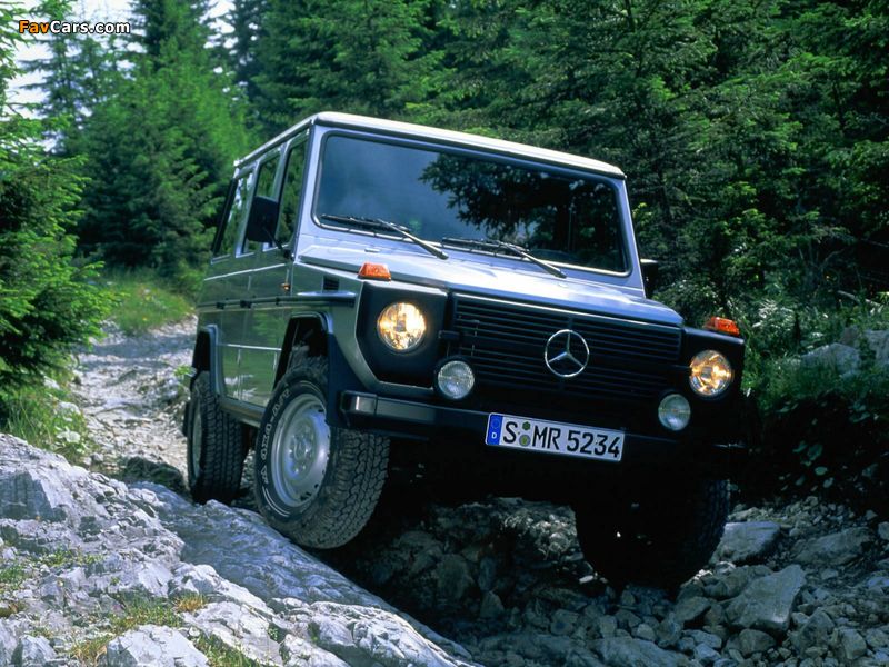 Images of Mercedes-Benz 290 GD LWB (W461) 1992–97 (800 x 600)