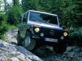 Images of Mercedes-Benz 290 GD LWB (W461) 1992–97