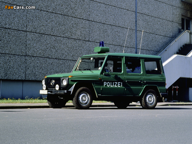 Images of Mercedes-Benz G-Klasse Polizei (W461) 1992 (640 x 480)