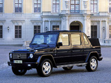 Images of IVM-Automotive Baur G-Cabrio XL (W463) 2002