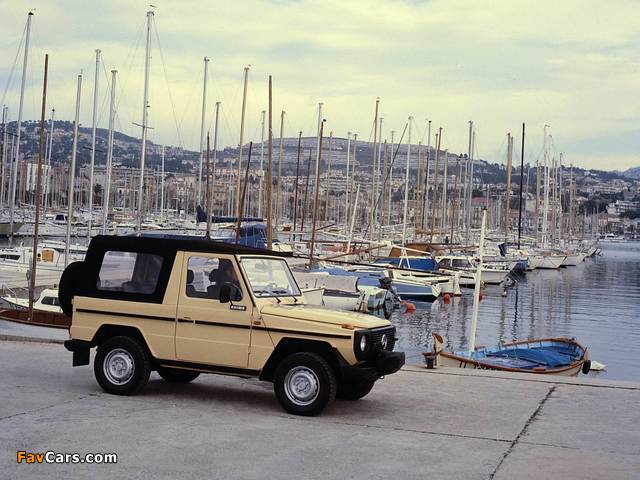 Mercedes-Benz 230 G Cabrio (W460) 1979–82 images (640 x 480)