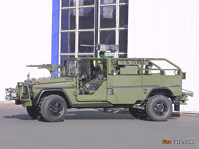 Mercedes-Benz G-Klasse Military (W461) 1992 images (640 x 480)