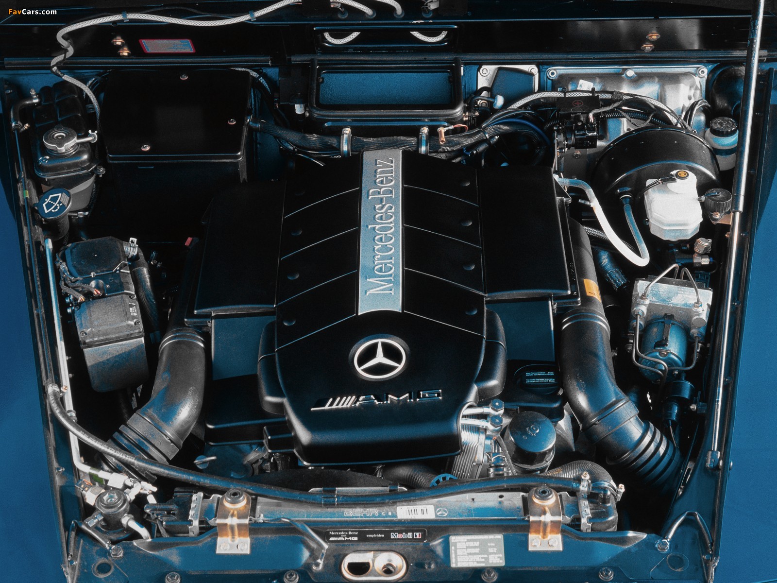 Mercedes-Benz G 55 AMG (W463) 2003–04 images (1600 x 1200)