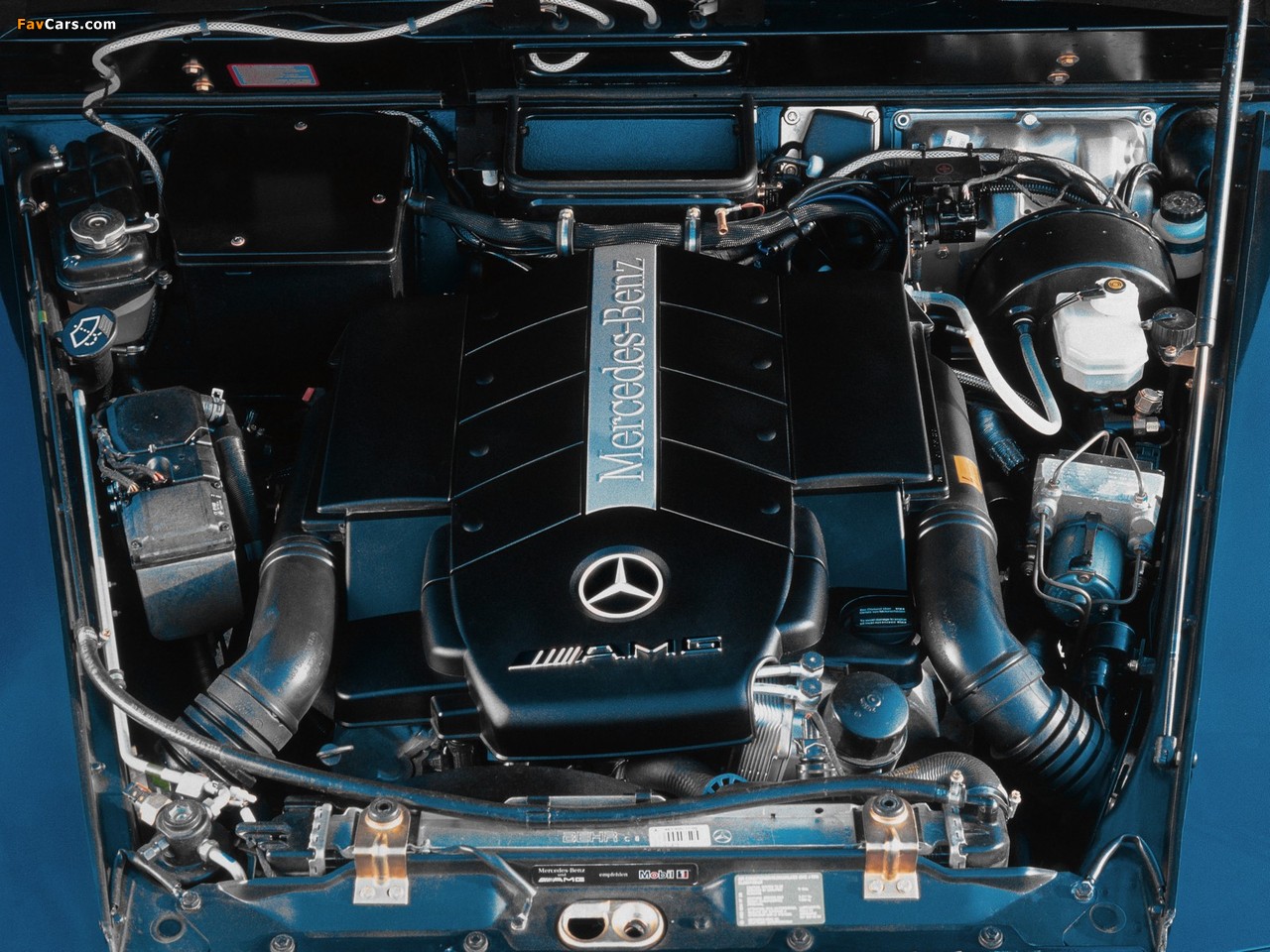 Mercedes-Benz G 55 AMG (W463) 2003–04 images (1280 x 960)
