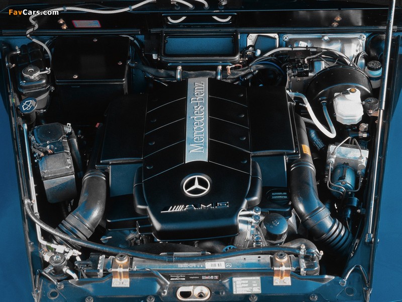 Mercedes-Benz G 55 AMG (W463) 2003–04 images (800 x 600)