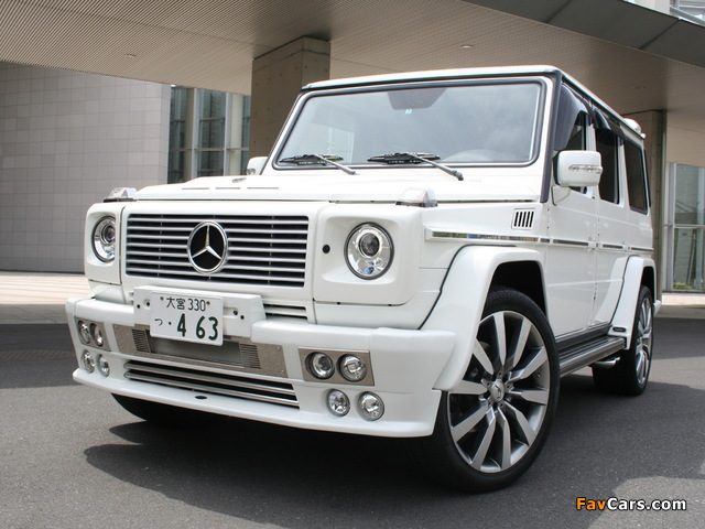 ART Mercedes-Benz G-Klasse (W463) 2008 images (640 x 480)