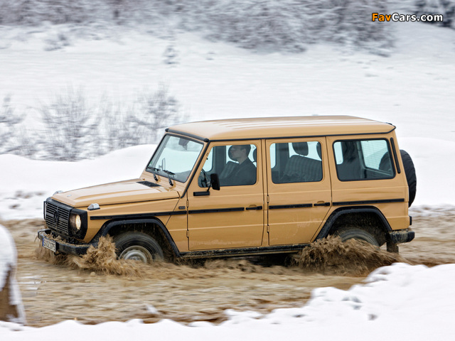 Mercedes-Benz G 280 CDI Edition 30 PUR (W461) 2009 pictures (640 x 480)