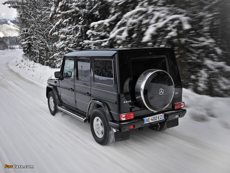 Mercedes-Benz G 350 CDI (W463) 2009–11 wallpapers (800 x 600)