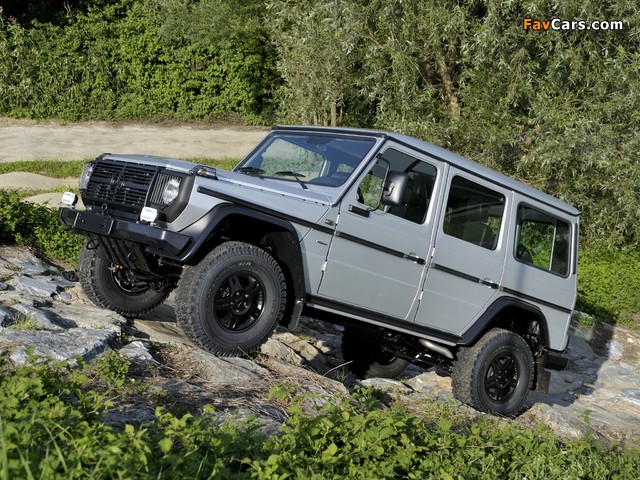 Mercedes-Benz G 300 CDI Professional (W461) 2010 pictures (640 x 480)