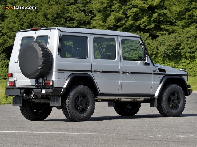 Mercedes-Benz G 300 CDI Professional (W461) 2010 pictures (640 x 480)