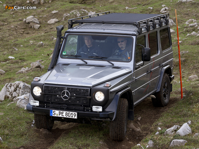 Mercedes-Benz G 300 CDI Professional (W461) 2010 pictures (640 x 480)