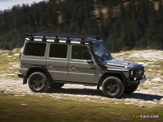 Mercedes-Benz G 300 CDI Professional (W461) 2010 pictures (640 x 480)