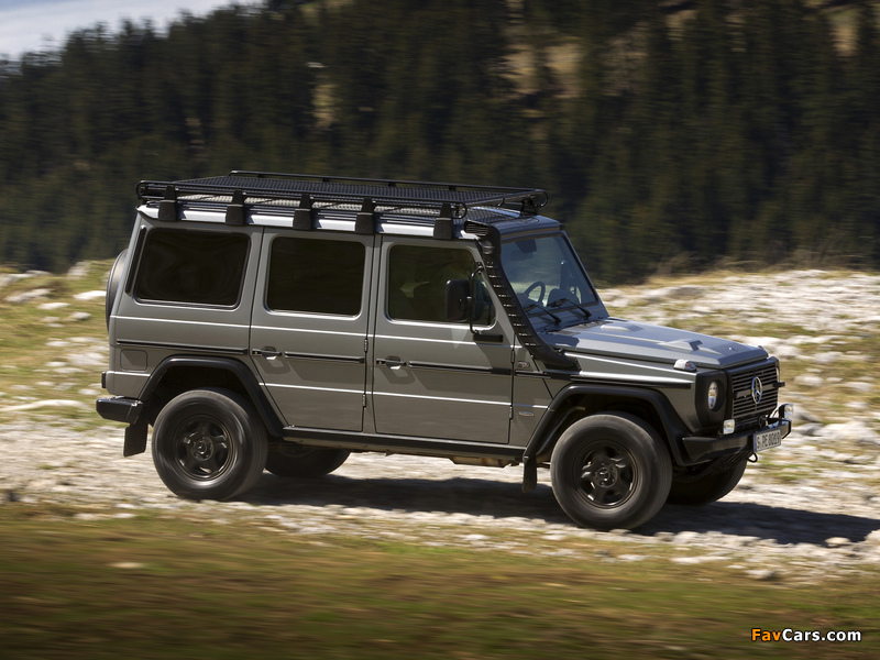 Mercedes-Benz G 300 CDI Professional (W461) 2010 pictures (800 x 600)